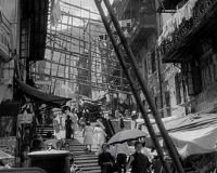 �ֵ��ҵ���ҹ